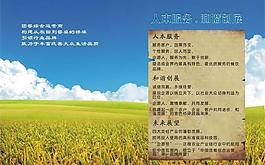人本服务画册设计图片