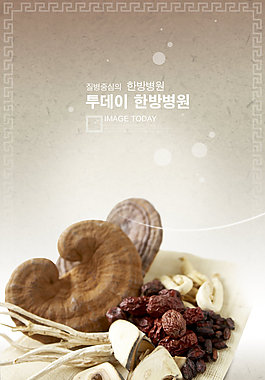 灵芝大枣等中药