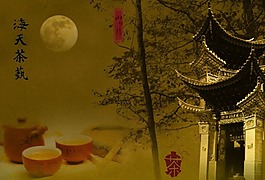 茶宣传页