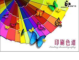 漂亮的蝴蝶彩色印刷色谱图片