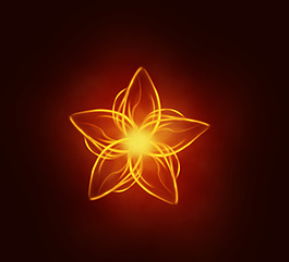 火焰花
