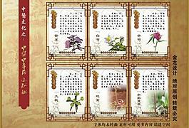 中医文化之中医中草药小知识图片