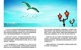 画册企业介绍设计图片