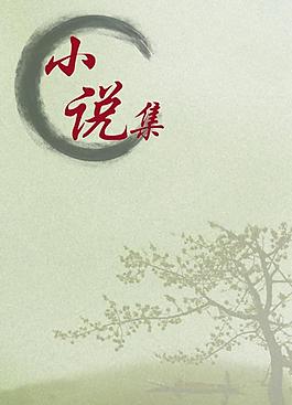 小说集图片