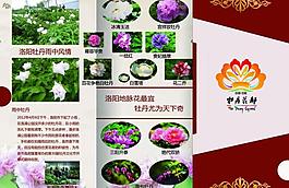 城市形象折页宣传册图片