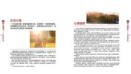 期刊内页图片