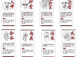 穴位名词解释图片