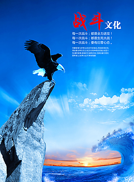 文化  战斗  鹰