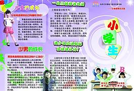 小学生宣传册图片