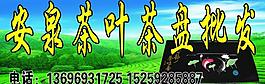 茶叶批发图片