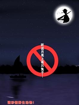 保护野生动物图片