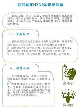 如何防范禽流感图片