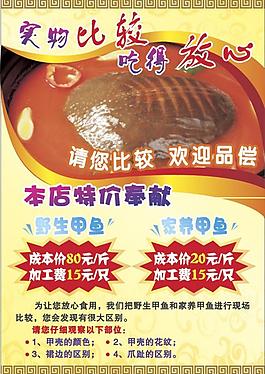 甲鱼海报图片
