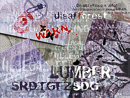 国外爱护森林公益海报