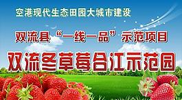 草莓展板图片
