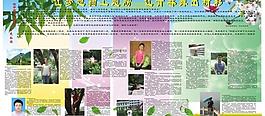 学校展板图片