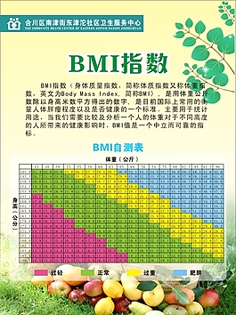 BMI健康指数