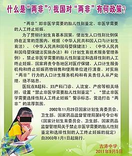 两非 政策展板图片