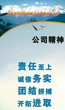 企业发展展板图片