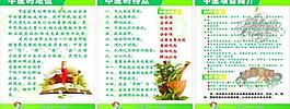 中医地位 特点 项目简介展板图片