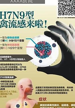 h7n9禽流感x展架图片
