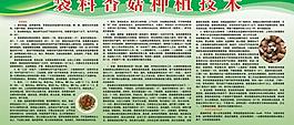 香菇种植图片