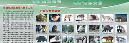 保护野生动物图片