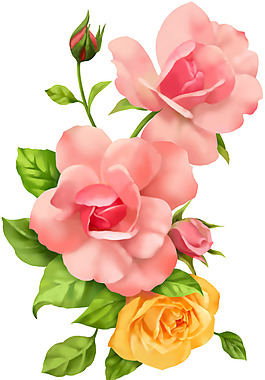 粉色黄色玫瑰花