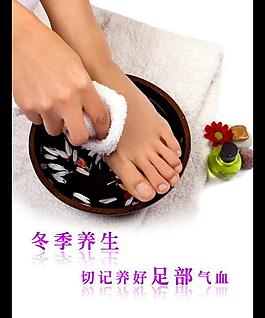 冬季养生图片