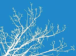 树枝积雪背景图片