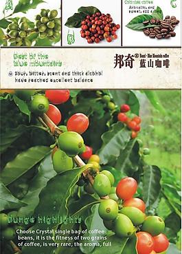邦奇蓝山咖啡图片