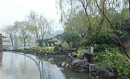 千灯湖公园一角图片
