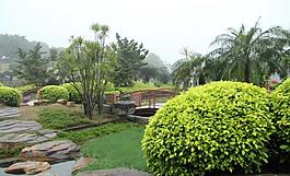 千灯湖公园一角图片