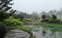 千灯湖公园一角图片
