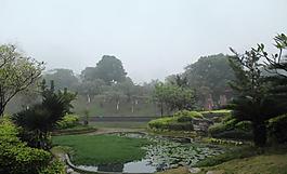 千灯湖公园一角图片
