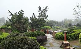 千灯湖公园一角图片
