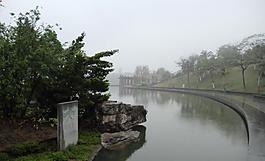 千灯湖公园一角图片