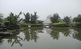 千灯湖公园一角图片