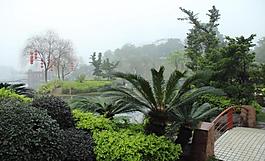 千灯湖公园一角图片