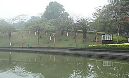 千灯湖公园一角图片