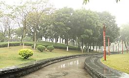 千灯湖公园一角图片