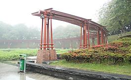 千灯湖公园一角图片