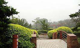 千灯湖公园一角图片
