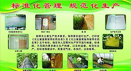 标准化管理 规范化生产图片