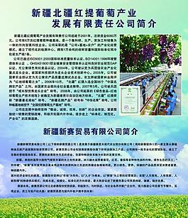 新疆北疆葡萄产业图片