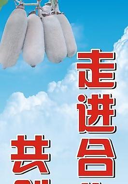 猕猴桃 杨梅移门文告图片