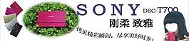 sony数码相机图片