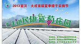 葡萄采摘节图片
