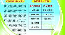 大蒜合作社简介图片