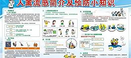禽流感简介预防宣图片